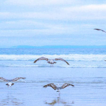 Beach Appartement 27 - Aan De Duinen, Callantsoog Aan Zee ภายนอก รูปภาพ